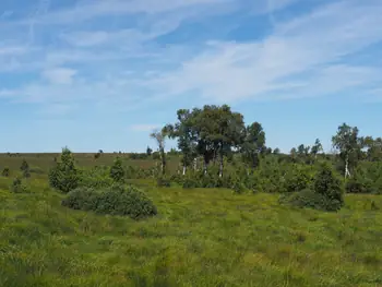 Signal de Botrange (België)